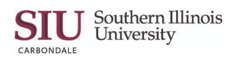 Southern Illinois University
