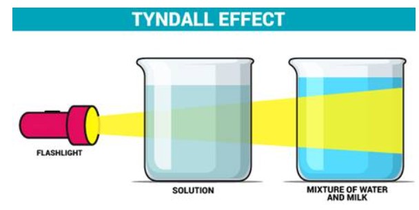 A Student Performing an Experiment in a Chemistry Lab with a Colloidal Solution Observes a Tyndall Effect Which Can be Explained by