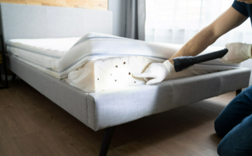 6 Steps to Getting Rid of Bed Bugs in Your Mattress