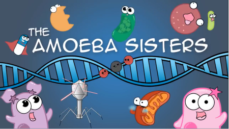 Amoeba Sisters Video Recap Viruses Answer Key'