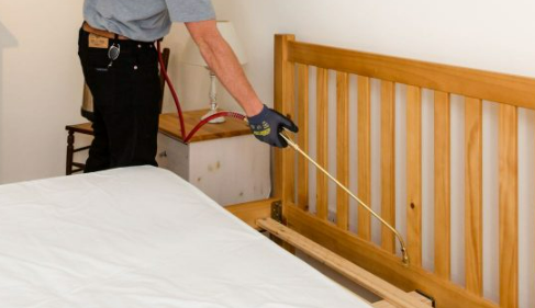 Spraying for Bed Bugs Preparation You Have to Do First