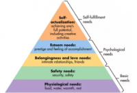 Critical Evaluation of Maslow's Hierarchy of Needs