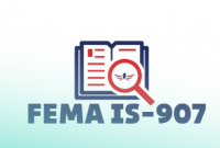 Fema IS-907