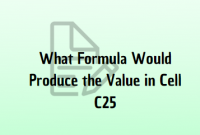 What Formula Would Produce the Value in Cell C25