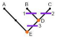Cladograms Gizmo Answer Key-Activity A Morphological cladogram NO 4