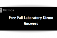 Free Fall Laboratory Gizmo Answers