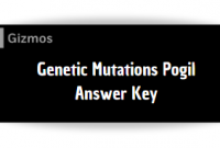 Genetic Mutations Pogil Answer Key